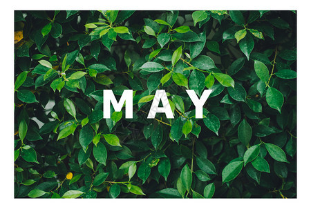 抽象的规划师美丽以天然绿叶背景设计日历月清单按自然绿叶背景设计图片
