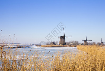 欧洲时间著名的冬季风车有雪和蓝天空图片