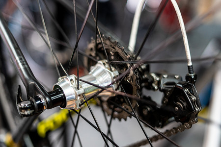 循环轴承公路自行车后轮枢纽多速式磁带和连锁话音轮圈圆图片