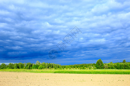 树下有黑暗雷云的风景森林和土地下有黑暗雷云的风景天空在下面分支图片