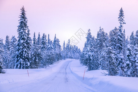 下雪的穿过北部森林冬季公路经过北部森林的雪覆盖温冬路红地标志穿越北部森林的冬季公路边缘地带乡村的打标图片