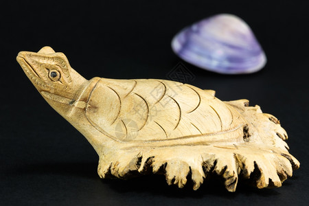 镶嵌海黑色背景上装饰的木甲龟贝壳图片