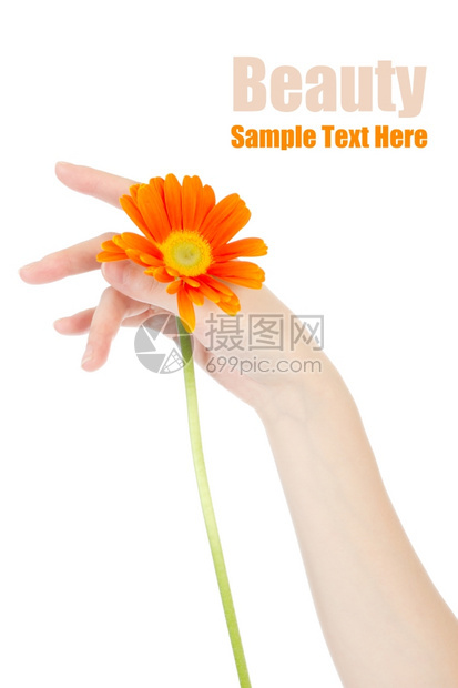美丽的手和花季节萼片生日图片