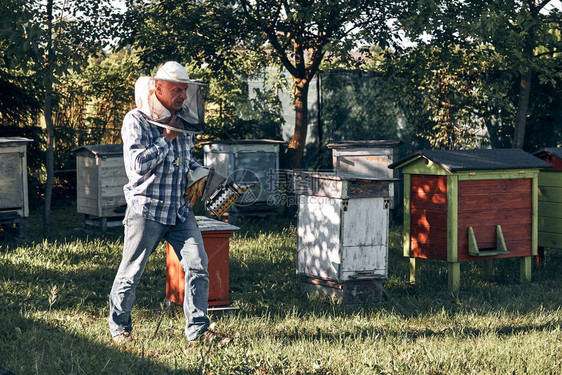 乡村的农场框架养蜂员在真实人中工作情况图片
