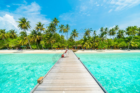 酒店加勒比海景观美丽热带马尔代夫岛海滩与椰子棕榈树在蓝天上自然假期背景概念Boostup彩色处理Colorprocess图片