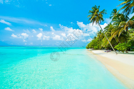 采取颜色加勒比海美丽热带马尔代夫岛海滩与椰子棕榈树在蓝天上自然假期背景概念Boostup彩色处理Colorprocess图片