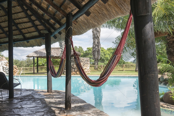 夏天自然非洲南部内地有棕榈树的热带游泳池酒店图片