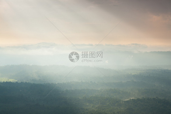 自然日光照耀着云彩吹入山丘和森林雾笼罩的山岳和树木环境蒙图片