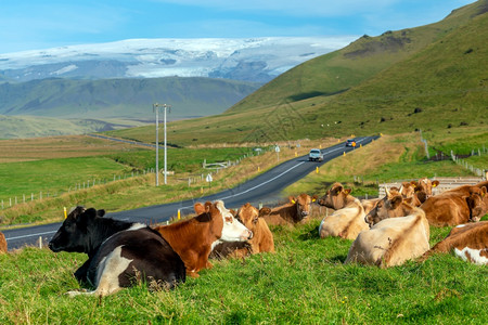冰岛美丽的风景冰岛自然观著名的旅游景点和城市目的地级联图片