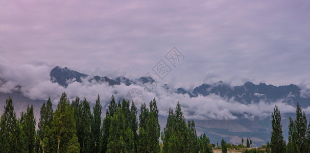 在山岳前的树上顶峰风景优美自然图片