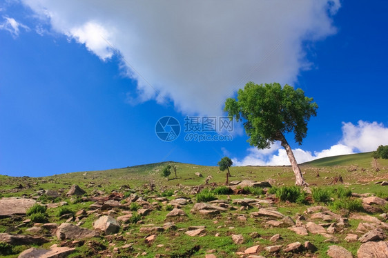 场地清除绿易德利山谷图片