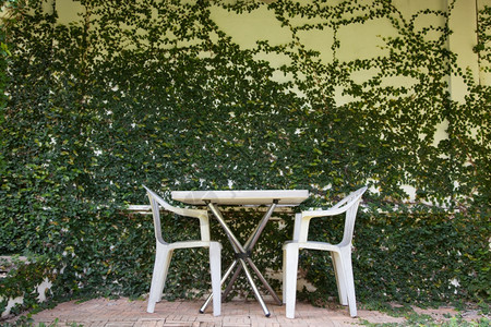 自然桌子和椅放在靠近墙壁的有树木桌椅上放松装饰风格图片