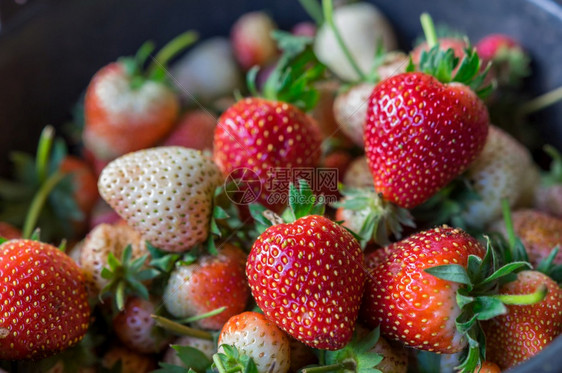 甜点所有的食物新鲜草莓水果准备在农场里吃新鲜草莓水果图片