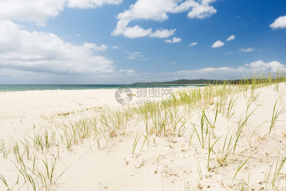 美丽的亮蓝天空沙丘上有白和绿草地平线海岸图片