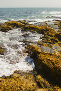 美国人假期大西洋岩石海岸崎岖不绝的大西洋之景观图片
