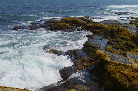 海浪摄影景观大西洋岩石海岸崎岖不绝的大西洋之景图片
