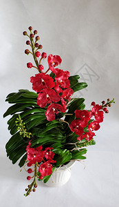 颜色陶土艺术白背景的Vanda兰花锅以红瓣为家装饰品的美丽花朵来自粘土的绿叶手工制作优雅图片