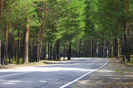 白种人迅速的车穿过森林景观的山地高速公路北加索旅行社北高加索旅行社图片