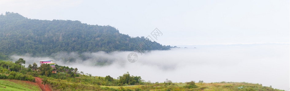 蒙多雾路段早晨清寒冷山顶有雾覆盖森林的全草岩雾覆盖森林图片