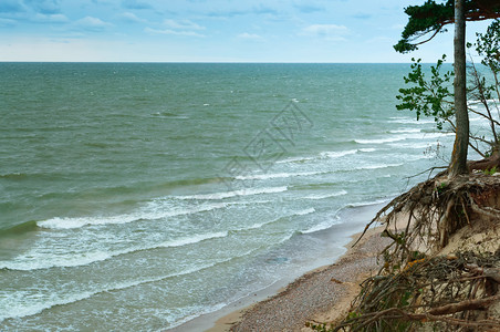 岩石银行海浪陡峭的岸杂草丛生的海岸波罗沿陡峭图片