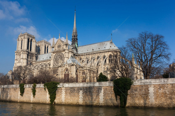 塔景观圣母大教堂巴黎法国伊尔德城市的图片