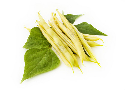 工作室白色的黄豆成分白背景上孤立叶子的黄豆美味图片