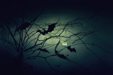 插画  |夜幕的阴暗中在网的树枝上装饰着蝙蝠的光影喜庆祝网络插画