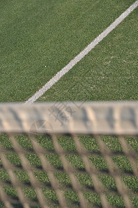 公园体育场在户外网球法院脱重线上的白草图片