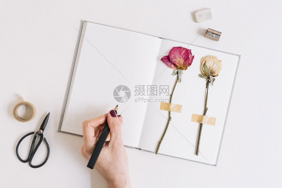 女用铅笔记本写字干玫瑰花卡在白页上住花朵色的图片