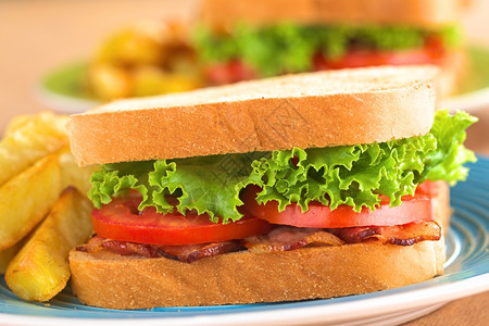 肉寒冷的蔬菜新鲜自制BLT培生素和番茄三明治配有薯条在蓝盘上选取焦点放在三明治前面图片
