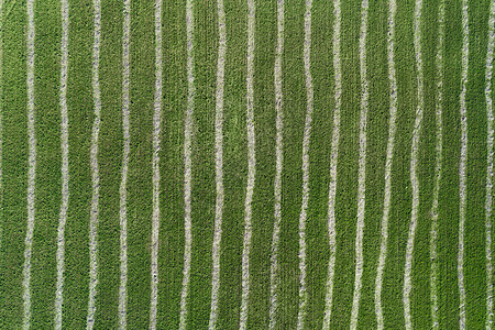 排高的空中无人驾驶飞机观看条纹绿农场田地风景优美图片