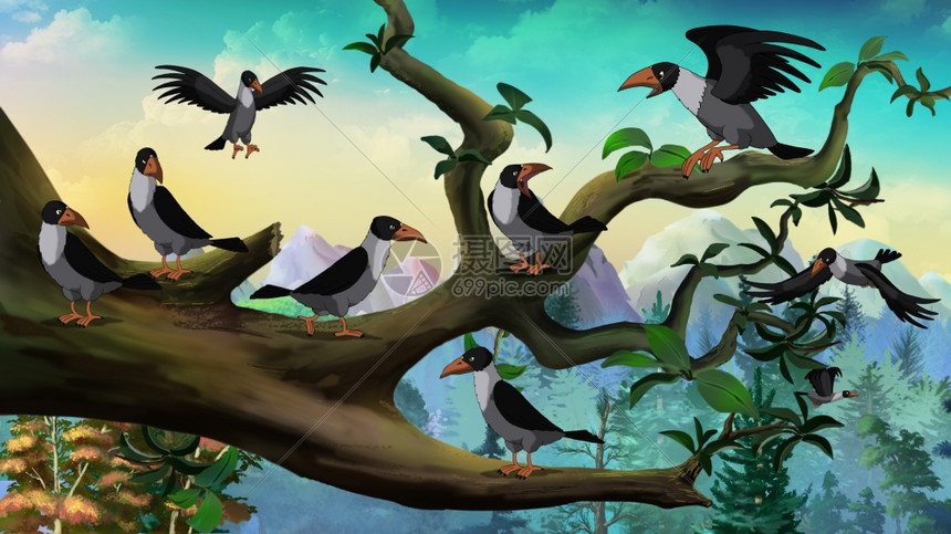 数字绘画全彩插图在树枝上戴兜帽的乌鸦动画片物园黑色的图片