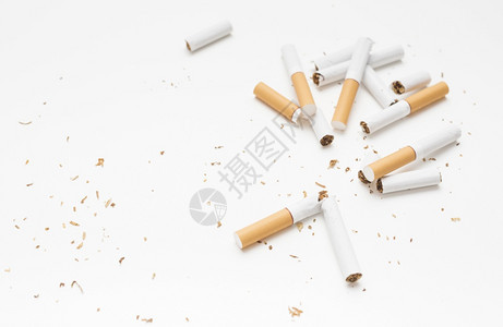 白色背景下破碎的香烟草俯视图高分辨率照片质量织物案子业务图片