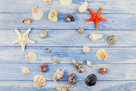 木制的旅游有创造力海底贝壳和星的顶层视图其背景为面糊蓝木板底贴色复制空间以生锈风格文字框架模板等图片
