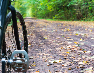 骑自行车的人秋天森林里自行车森林路上的自行车一部分秋天森林里自行车锻炼健康图片