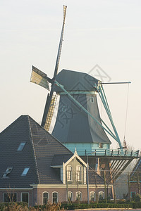 场景美丽的薄雾日落与古老的荷兰风车图片