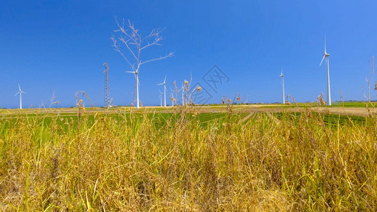 户外田野里的风力发电机图片