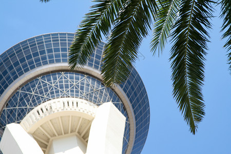高平流层塔前的棕榈树现代明亮禁止图片