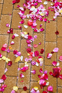 红色手绘玫瑰图片