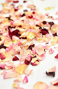 婚礼后玫瑰在地上脱落情人节柔软的庆典图片