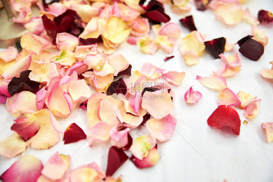 地面美丽躺着婚礼后玫瑰在地上脱落图片