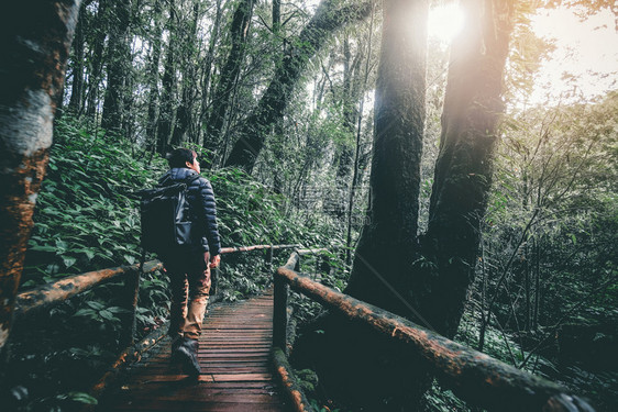 冒险的人在森林中徒步旅行远足真正的发现图片