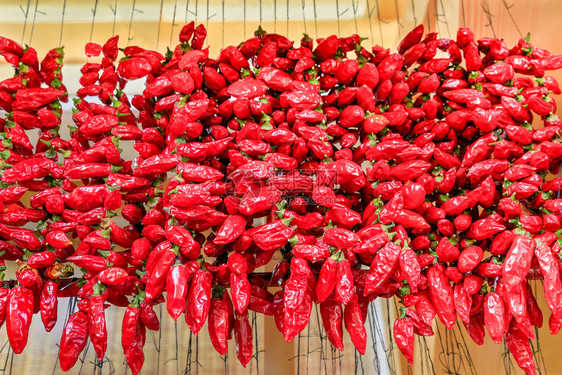 许多红辣椒在葡萄牙的市场上挂着绳索产品生物胡椒图片