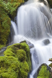 岩石俄勒冈州Umpqua风景中近道的清水瀑布和苔岩被封闭的瀑布是宁静和美的天然隐秘通道景区环境的图片