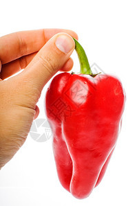 美食新鲜的颜色手与大红胡椒孤立在白色背景上图片