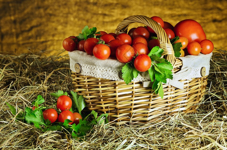 蔬菜口粮海番茄篮子上红开膛托马斯吃图片