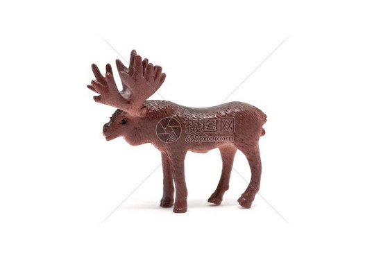 目的以白色背景隔离的木鹿模型动物玩具塑料白色的森林图片