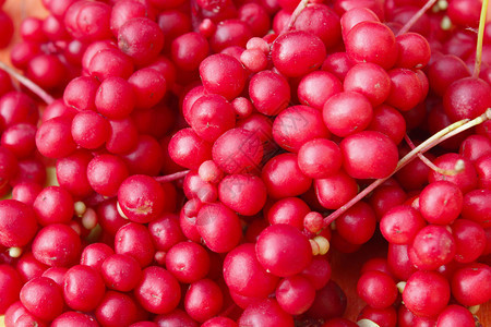草莓丰盛的成熟和红草零件营养丰富庄稼图片