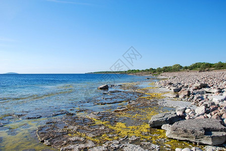 蓝色的自然宁静在波罗的海瑞典群岛奥兰Oland夏季前明亮的平板岩石海岸图片