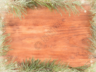 装饰品白色的木形背景框状Spruce树枝分支机构图片